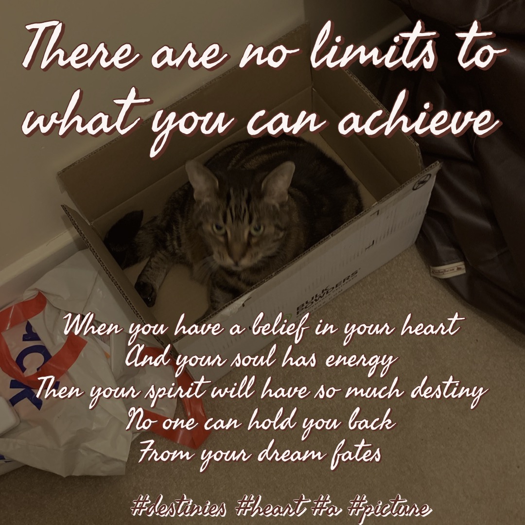 There are no limits to what your destiny fates can achieve if you have a heart - Trite The Meme Kitten