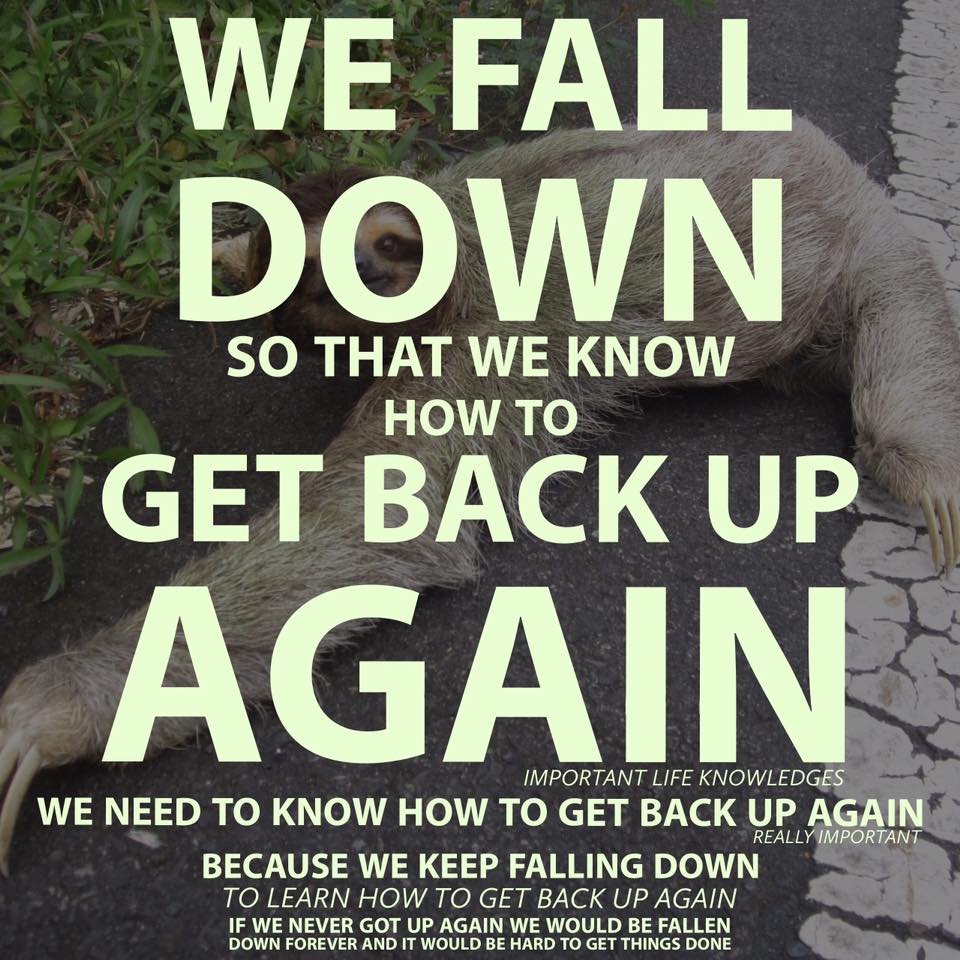 we fall down so we can get up - the Meme Kitten