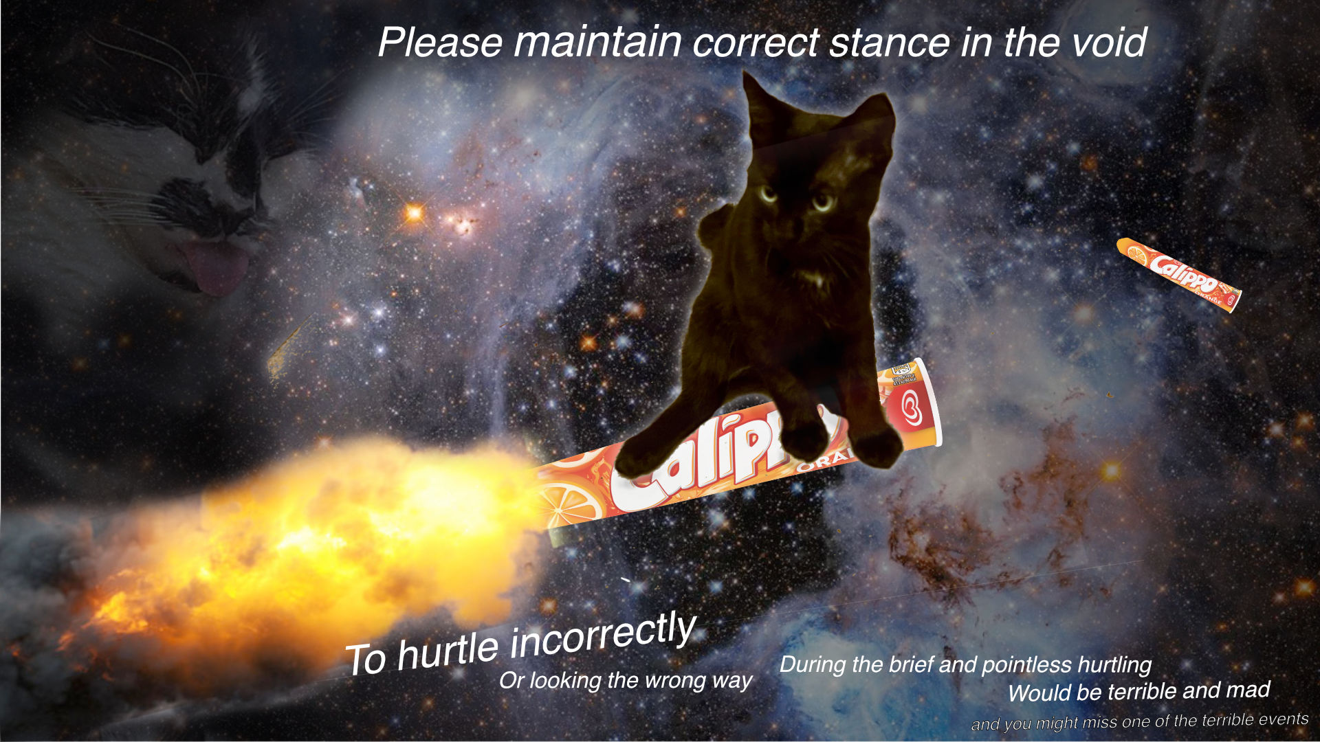 Very good cat rides on calippo through space, prepared for any eventuality. Various bits of the cosmos seem to remsemble Nic Cage screaming or looking depressed for some reason.