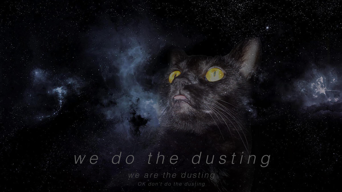 DO THE DUSTING! says Space Blep Cat