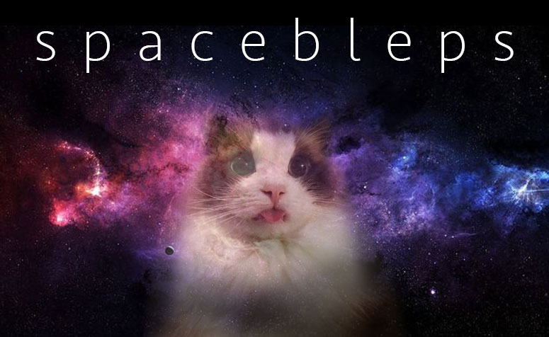 Space Blep Cat