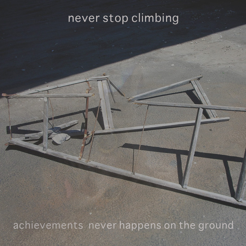 Always keep climbing! - the Meme Kitten