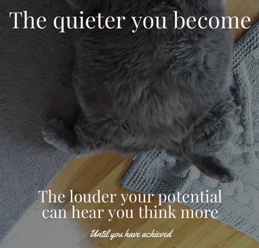 The quieter you are, the more your potential can hear louder - Trite The Meme Kitten