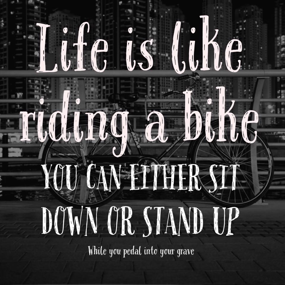 life is like riding a bike - the Meme Kitten