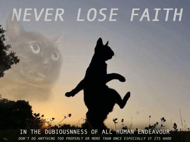 Never lose faith in your dreams - Trite The Meme Kitten