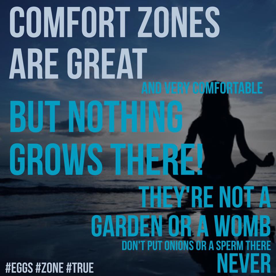 nothing grows in your comfort zone - the Meme Kitten
