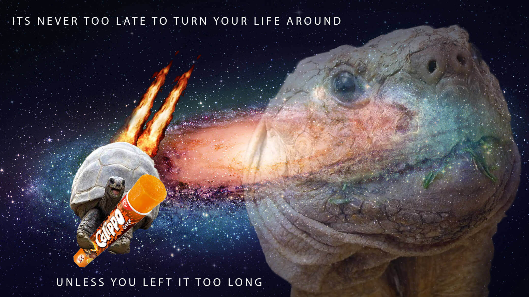 a wistful looking tortoise stares out into space while another hurtles along riding a calippo - Space Sloth