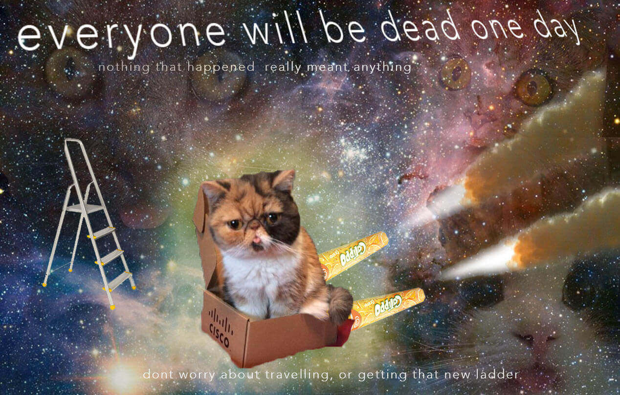 all will be dust - ladders, biscuit, ovens, even red - blep space cat