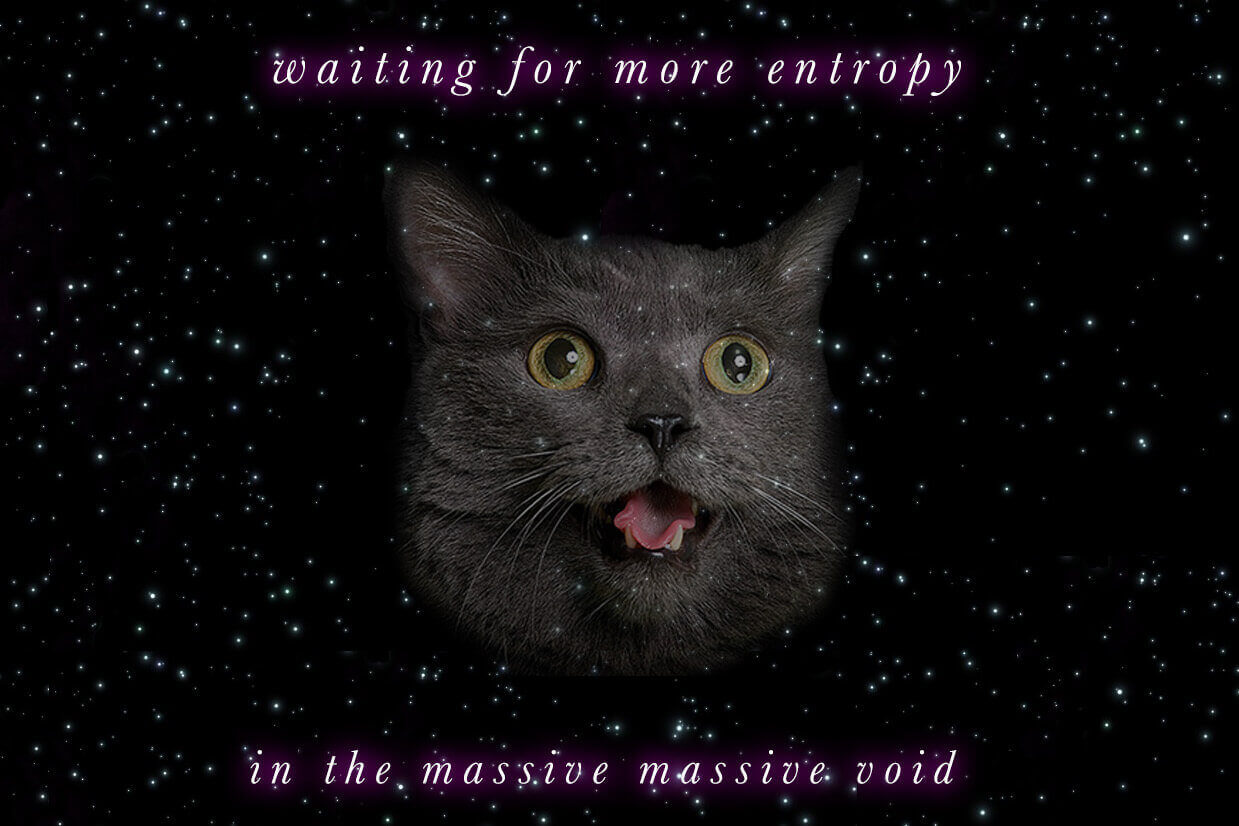 Space Blep Cat more entropy