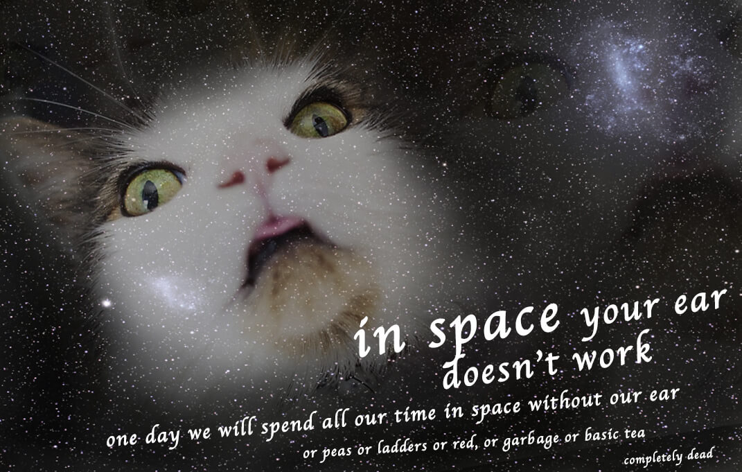one day we will spend all our time being dead - Space Blep Cat