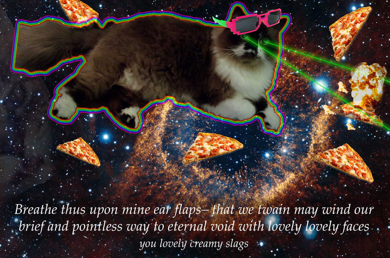 Space Cat and Shakespeare quotes
