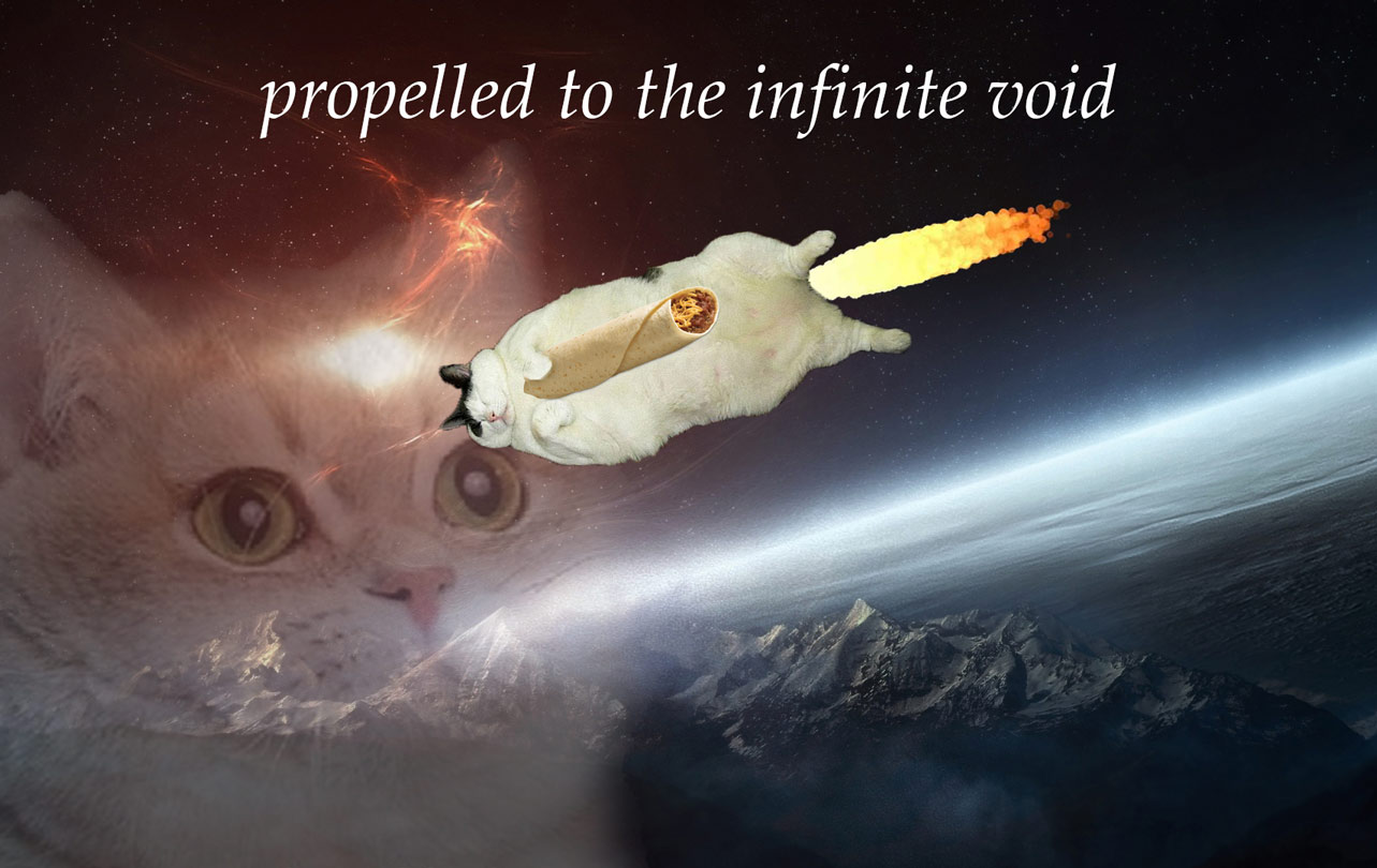 Space Cat is propelled towards oblivion