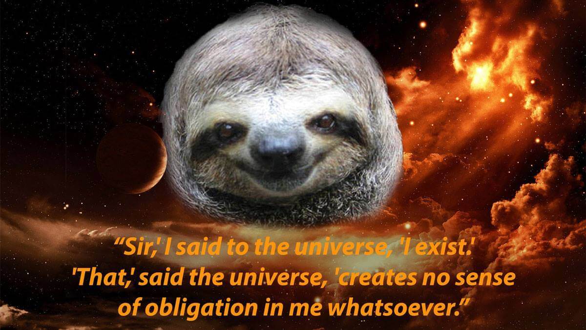 Space Sloth Existence