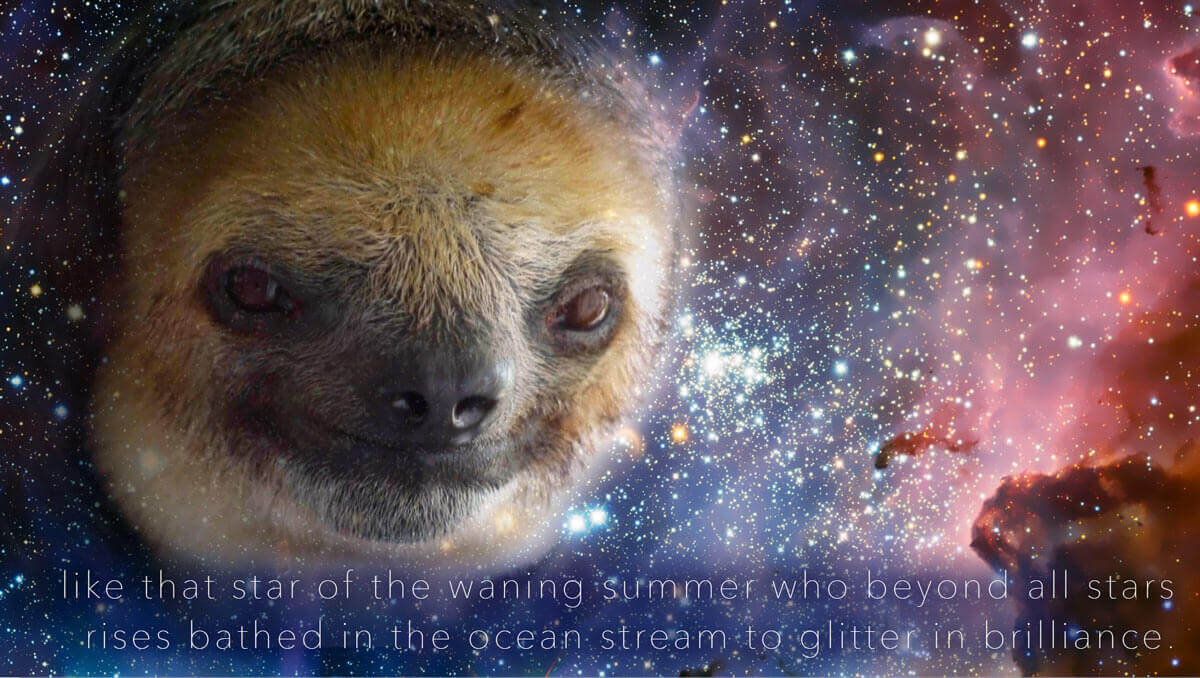Space Sloth is getting all philosophical and stuff