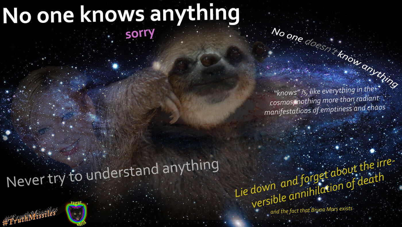 Space Sloth says no one knows anything really